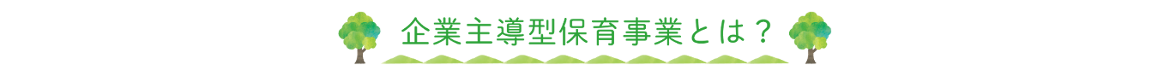 企業主導型保育事業とは？