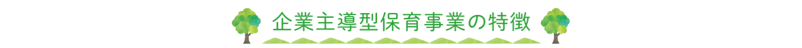 企業主導型保育事業の特徴